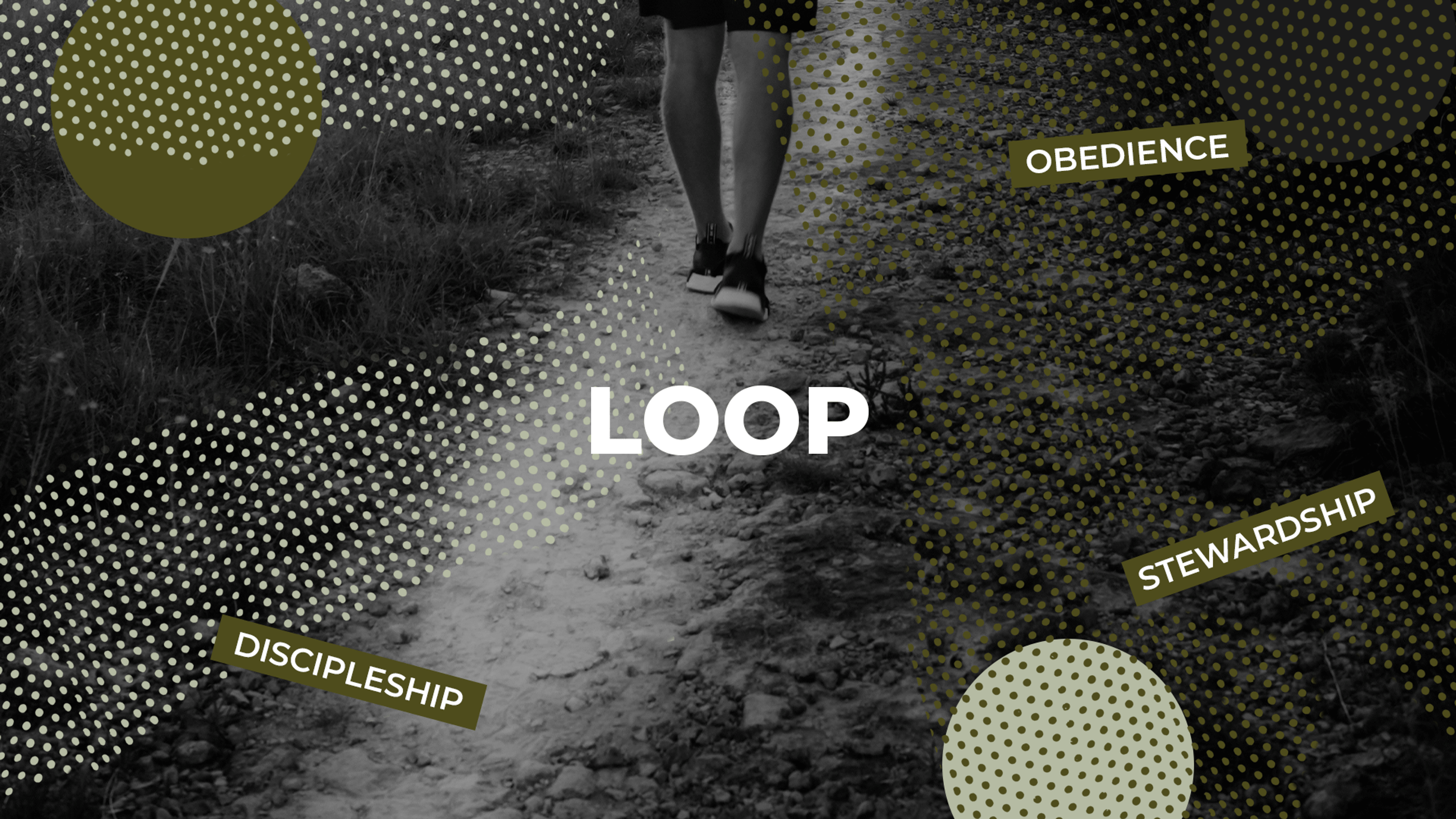 HC MUSIC LOOP